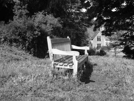 J'ai tant r�v� de toi...